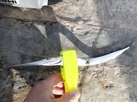 Геленджик–Анапа: сарган в конце октября — лучшие эмоции и мухи на двойнике