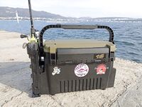 Геленджик–Анапа: сарган в конце октября — лучшие эмоции и мухи на двойнике