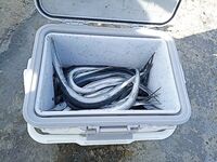 Геленджик–Анапа: сарган в конце октября — лучшие эмоции и мухи на двойнике