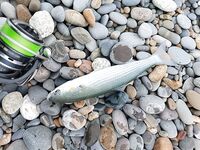 С 8 до 12 оторвался за год: бомбарда и морской червь сделали день