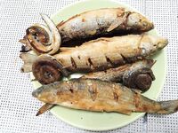 Буны в штормянку: рыба бастует, клюёт набегами — на пару сковородок собрал