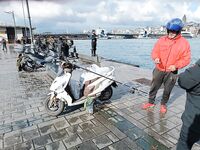 Стамбул — ставрида клюёт: соседний берег держит темп по ночнику