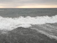 Батуми — открытие сезона: голодный сарган просит червя, опарыша игнорит