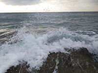 Батуми — открытие сезона: голодный сарган просит червя, опарыша игнорит