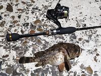 Пилькеры 5–10 г летят, но зачем далеко — рыба часто «под ногами»