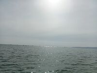 Береговое под Феодосией: лодка в км от берега, бычок и малышка камбала