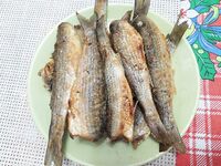 После «глухозимья»: суббота и воскресенье на бунах, штиль и краткие выходы