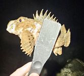 Открытие сезона в Сочи: набережная от порта до Фишта закрыта, ловил напротив