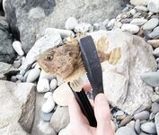 Открытие сезона в Сочи: набережная от порта до Фишта закрыта, ловил напротив