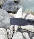 Открытие сезона в Сочи: набережная от порта до Фишта закрыта, ловил напротив