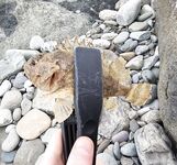 Открытие сезона в Сочи: набережная от порта до Фишта закрыта, ловил напротив