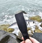 После дождей вышел раньше: по светлу активна ставрида, в паузы ловил ерша