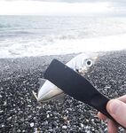 Пасха, сильный ветер и тяжёлые условия: ловля с пляжа и первая ставрида