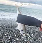 Пасха, сильный ветер и тяжёлые условия: ловля с пляжа и первая ставрида