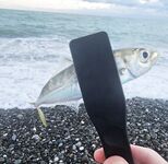 Пасха, сильный ветер и тяжёлые условия: ловля с пляжа и первая ставрида