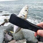 Шторм стих, но накат держится: ставрида по нарастающей до заката, ночь — мелочь