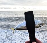 Дождь разогнал людей, ставрида мерная и чаще на выбросе, бонус одна