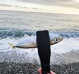 Дождь разогнал людей, ставрида мерная и чаще на выбросе, бонус одна