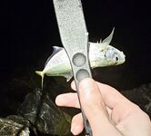 Адлер ЖД и Фишт: мелкая ставрида у вокзала, три отборных у Фишта до темноты