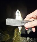 Адлер ЖД и Фишт: мелкая ставрида у вокзала, три отборных у Фишта до темноты