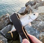 Адлер ЖД и Фишт: мелкая ставрида у вокзала, три отборных у Фишта до темноты