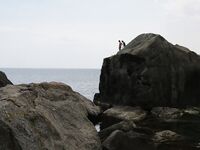 Окрестности Ялты: отводной по ершу и кукушке, ночью — мелкая ставрида на бомбарде