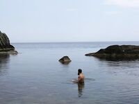 Окрестности Ялты: отводной по ершу и кукушке, ночью — мелкая ставрида на бомбарде