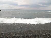 Утренний контроль: карась один в один, перед травой, волна растёт