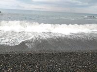 Утренний контроль: карась один в один, перед травой, волна растёт