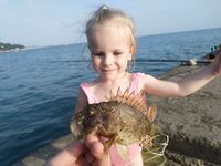 Днём пляж, ночью буна: мелочь в темноте, днём карась и барабулька на каждой