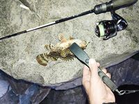 Лоо, Нижняя Хобза: бомбарда 3 г, голова 0,5 г — меньше сходов после полуночи