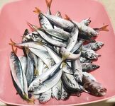 Адлер, самодельная бомбарда 3 г и маракуя: рыбалка у берега с микрокрючком