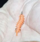 Адлер, самодельная бомбарда 3 г и маракуя: рыбалка у берега с микрокрючком