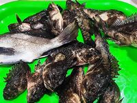 Ночной берег и короткая снасть: рыбалка на Чёрном море после «вчерашнего» выхода