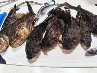 Ночной берег и короткая снасть: рыбалка на Чёрном море после «вчерашнего» выхода