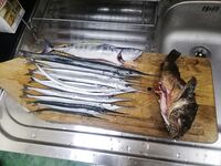 Крымский тур 8–12.08: Симеиз, Понизовка, Евпатория, Окунёвка, Тарханкут