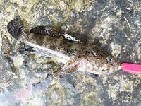 Онлайн отчёт: рыба поклёвывает, но сильный ветер не даёт нормально ловить