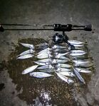 Ультралёгкие веса 0,1–0,4 г: это не «извращение», а рабочая тактика