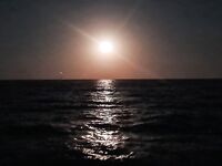 Ночная Ялта: бычок, десяток скорпен, два залётных луфаря и ставрида после полуночи