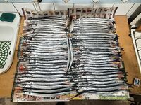 Морская рыбалка в Ялте — уточняю зимние заметки и точки к декабрю 2023