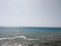 Сложный утренний выход: пилькеры и бомбарды, один сарган со сходом на буне, карась и барабулька