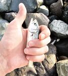 Имеретинка вечером, накат и сорок метров мути: луфарик по светлу, ставридка после темноты