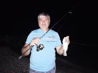 Неделя у моря: морская рыбалка ночами, единичные луфарь и сарган, ставка — МДЖ