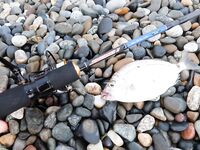 Адлер: утренний пляж, вечерняя электричка и чувствительный Streetracer-X