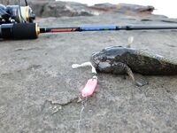 Адлер: утренний пляж, вечерняя электричка и чувствительный Streetracer-X