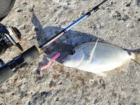 Адлер: утренний пляж, вечерняя электричка и чувствительный Streetracer-X