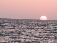 Адлер и Хоста ночью: скорпены, камни и нервный горбыль на тонком флюре