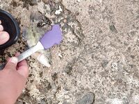 Пристань и россыпи камней: морская рыбалка в поиске луфаря, зелёная радость и присоска