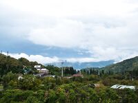 Головинка: штормы и сильная волна — по нулям, кефаль была на поплавок