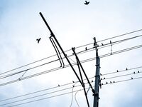 Головинка: штормы и сильная волна — по нулям, кефаль была на поплавок